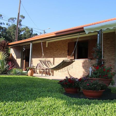 Гостевой дом Casa Flor Da Laranjeira Понте-де-Лима Экстерьер фото